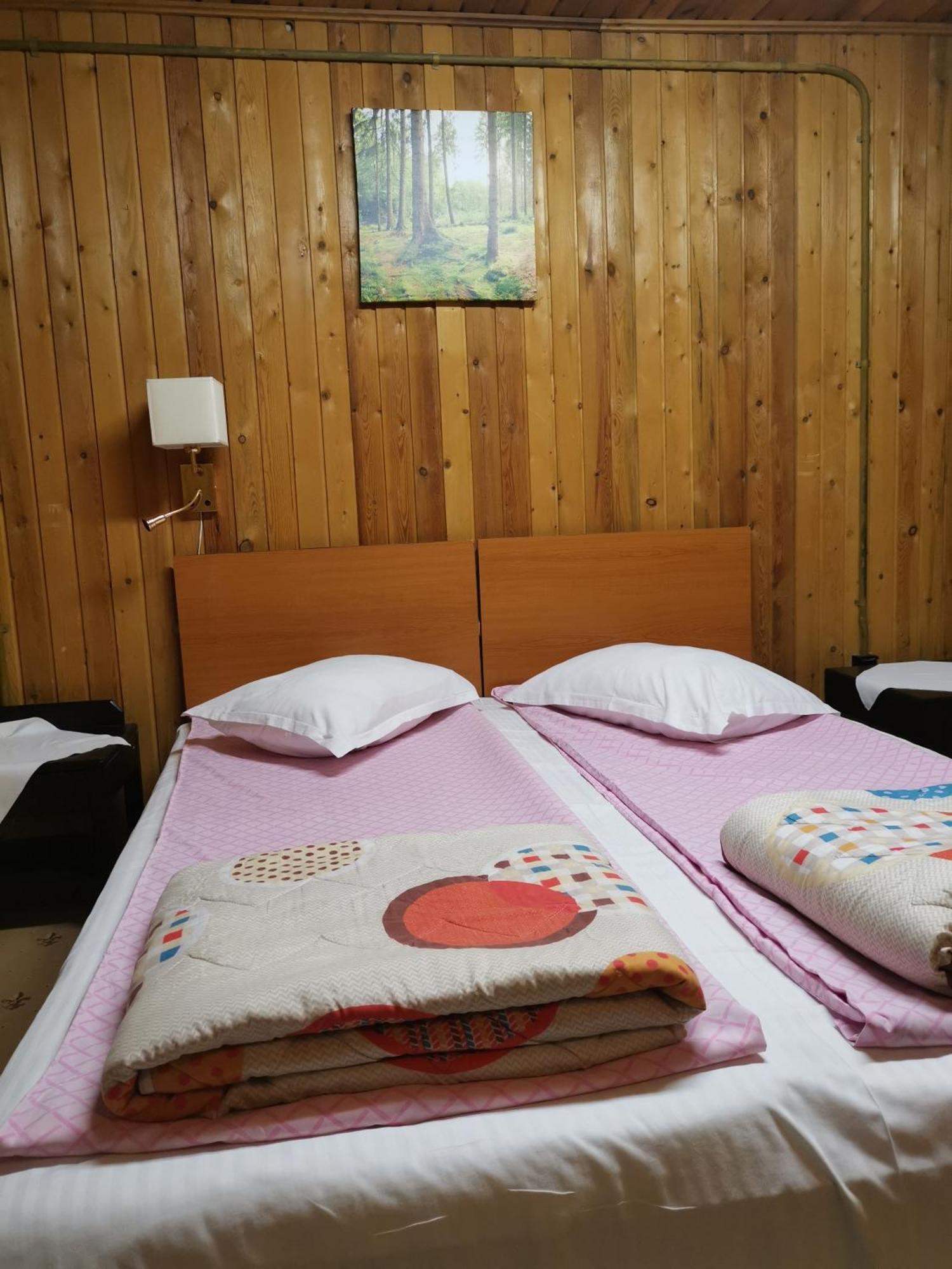 Cabana Fantanita Cu Brazi 포이아나브라소프 외부 사진